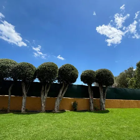 Privata In Paola *